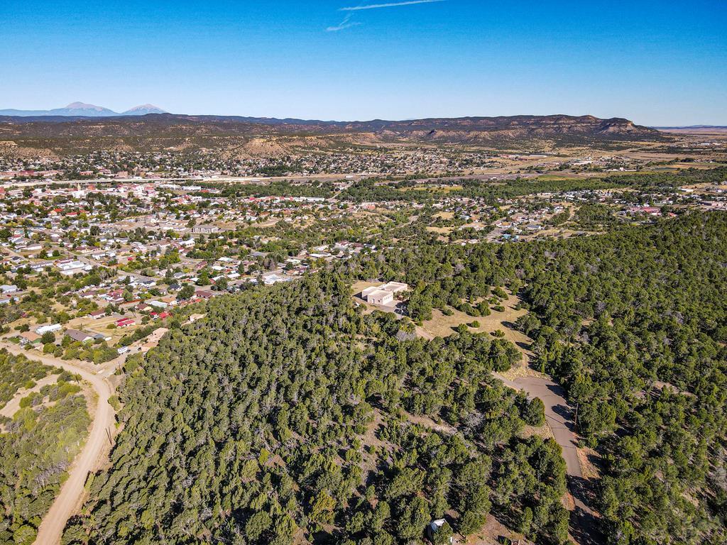 11951 Diamond View Road Trinidad, CO 81082 - Photo 57 of 58 Gallery Image 57