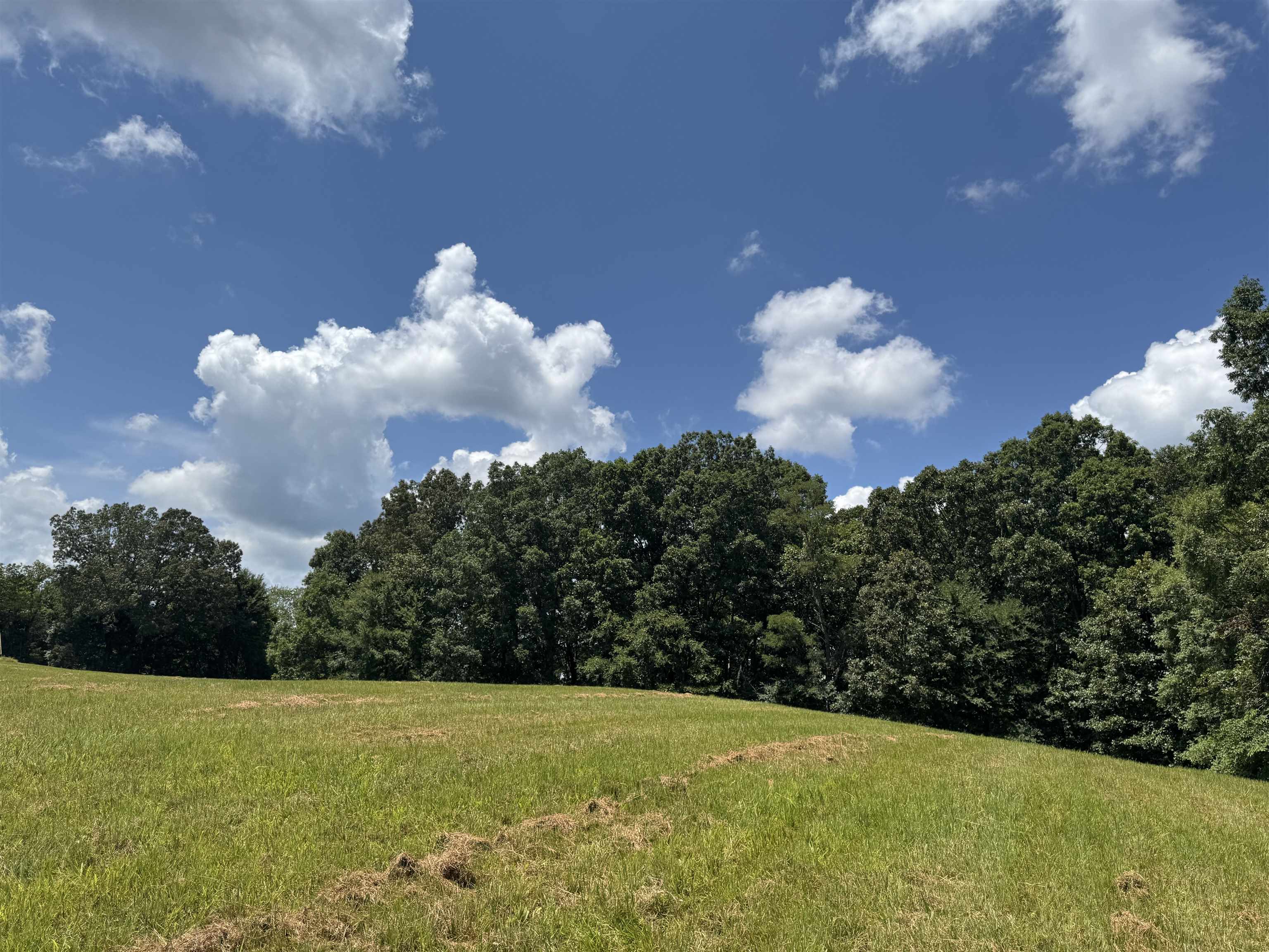 15-acres Monk House Road Somerville, TN 38068 - Photo 2 of 19 a view of a big yard