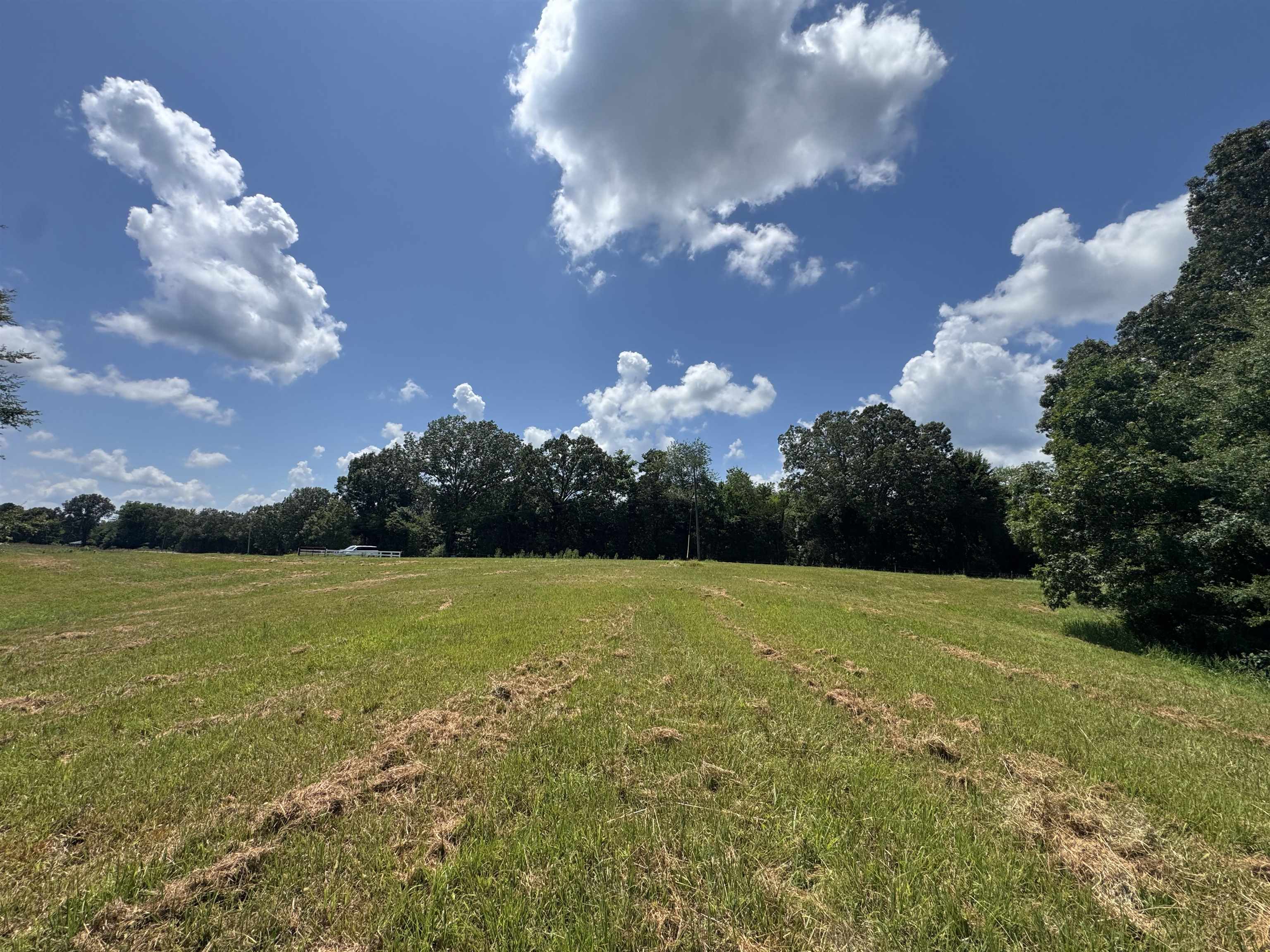15-acres Monk House Road Somerville, TN 38068 - Photo 3 of 19 a view of an ocean yard and a fountain