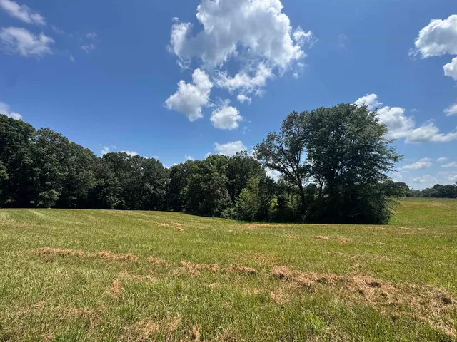 a view of a lake with a yard