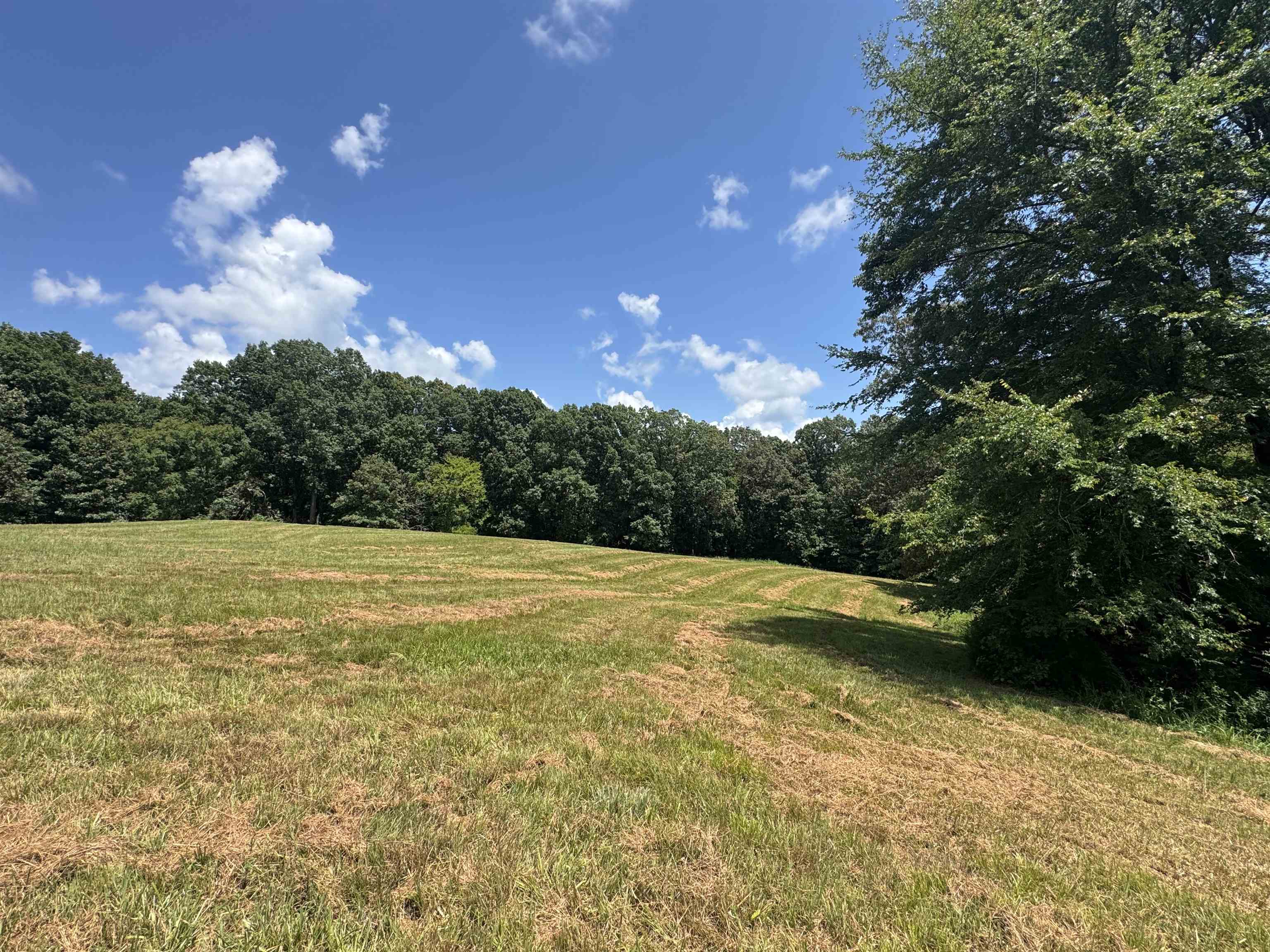 15-acres Monk House Road Somerville, TN 38068 - Photo 5 of 19 a view of a lake view