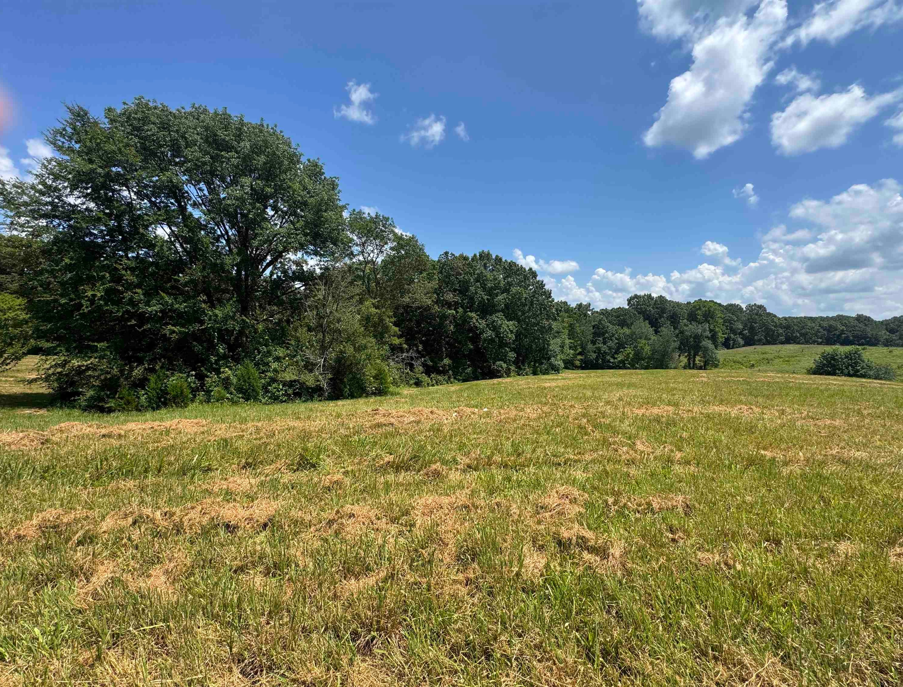 15-acres Monk House Road Somerville, TN 38068 - Photo 6 of 19 a view of outdoor space and yard