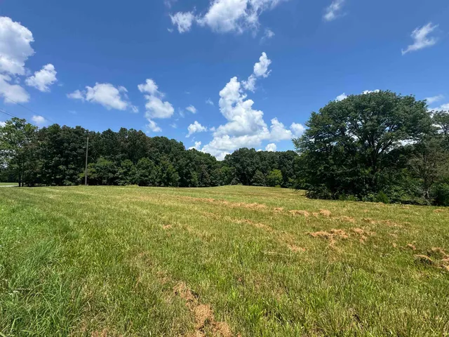 a view of a big yard with large trees