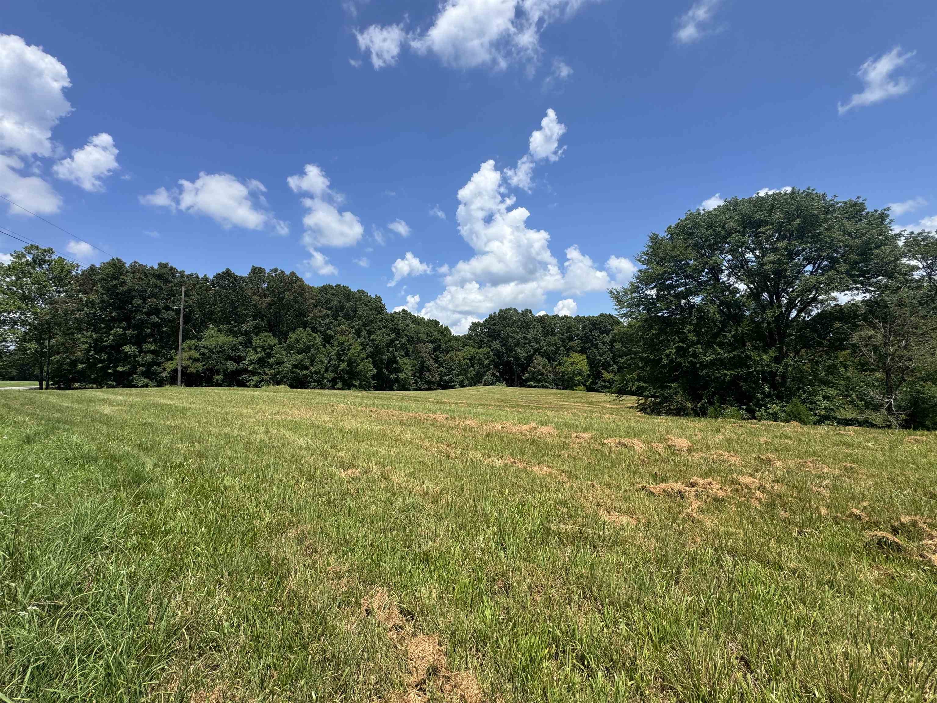 15-acres Monk House Road Somerville, TN 38068 - Photo 7 of 19 a view of a big yard with large trees