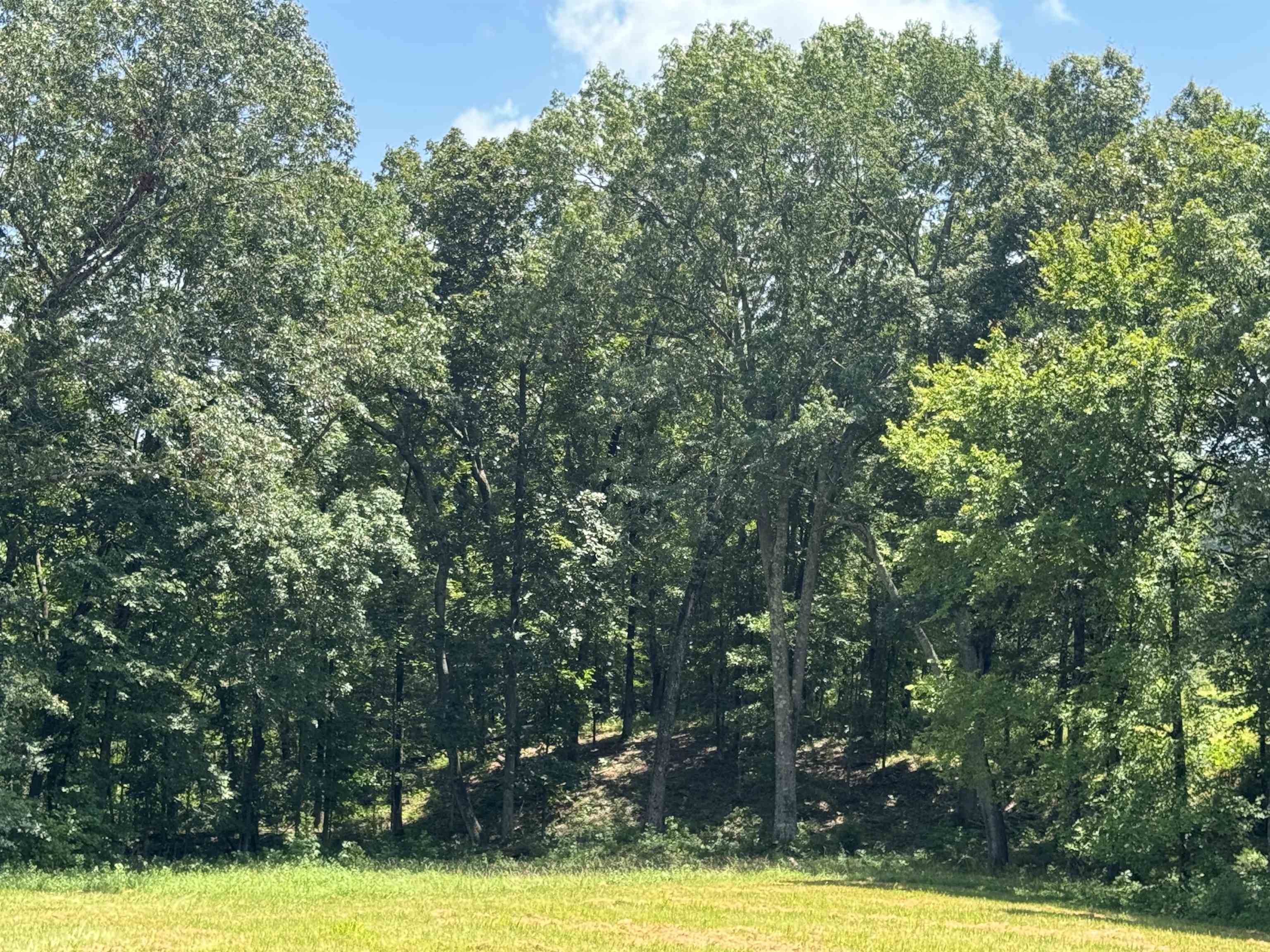 15-acres Monk House Road Somerville, TN 38068 - Photo 9 of 19 a view of a swimming pool and trees in the background