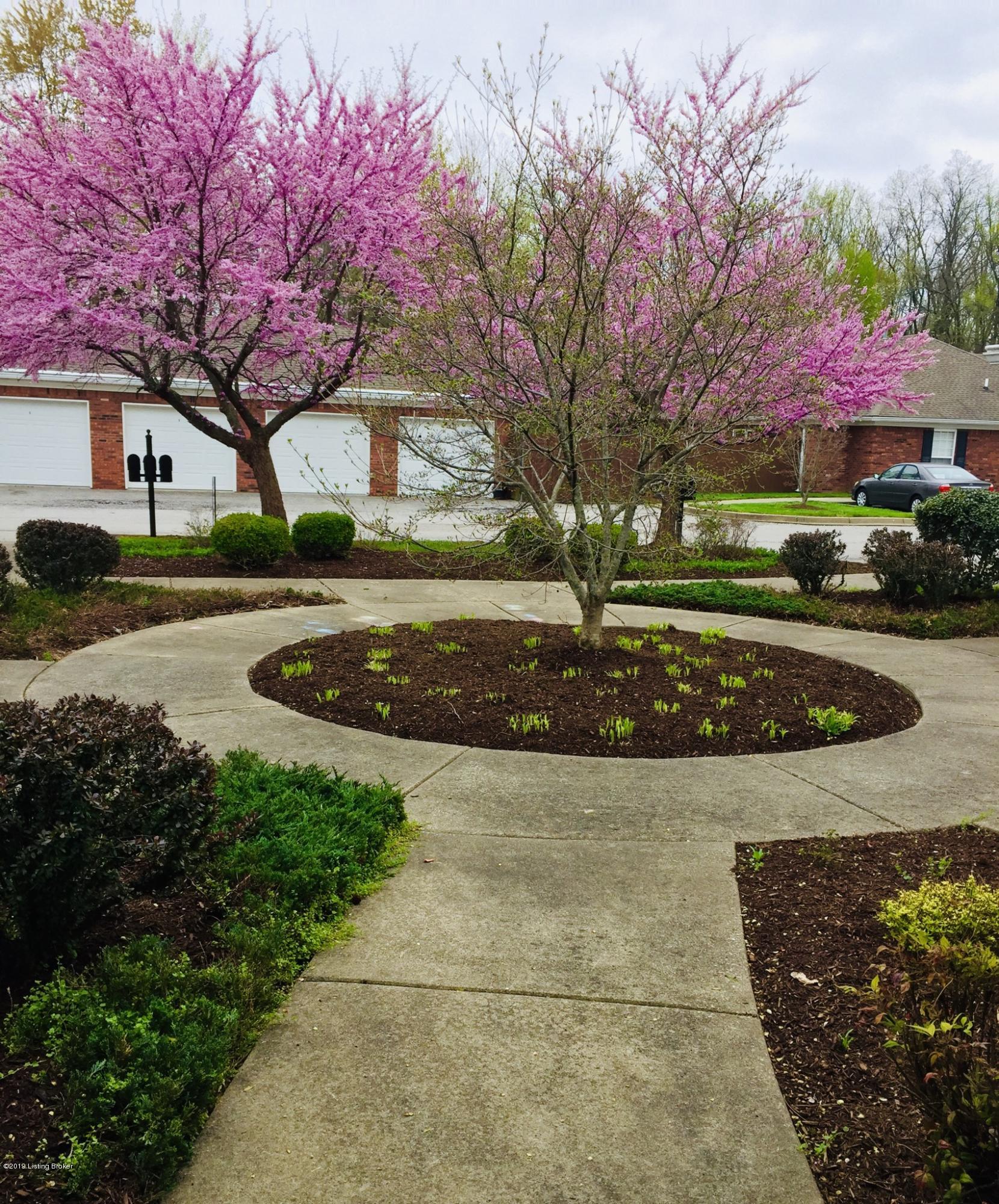 6428 Renate Road Louisville, KY 40291 - Photo 11 of 11 52122371-956A-4035-82C6-3345B70A2BF8