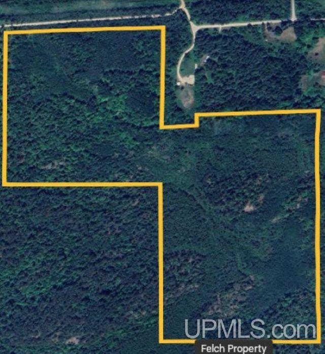 Tbd Tbd Old School House Road Felch, MI 49831 - Photo 9 of 9