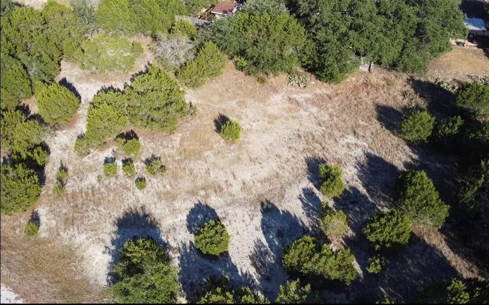 a view of a yard with plants