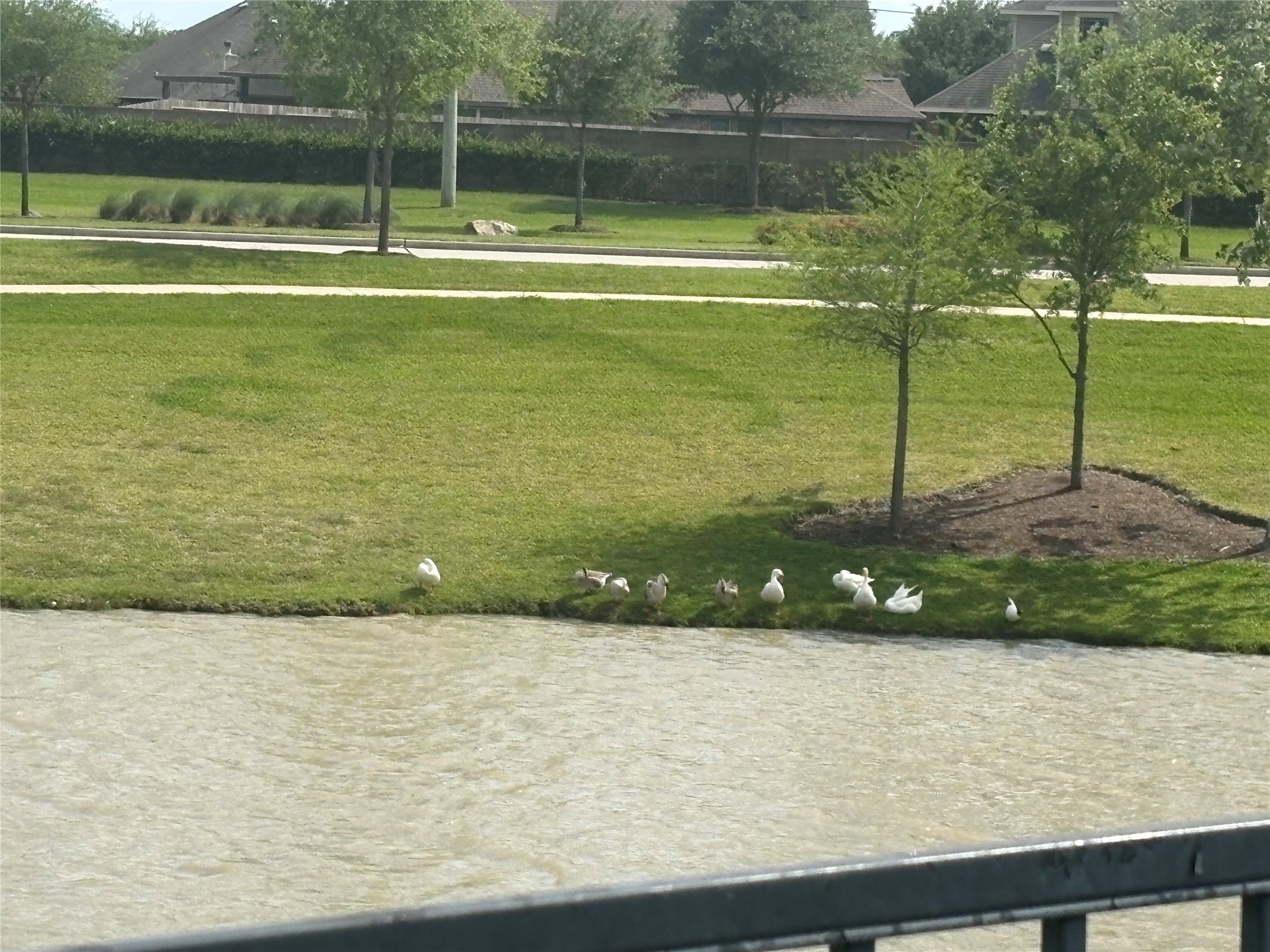 5139 Spring Terrace Lane Rosharon, TX 77583 - Photo 6 of 7 a view of a lake