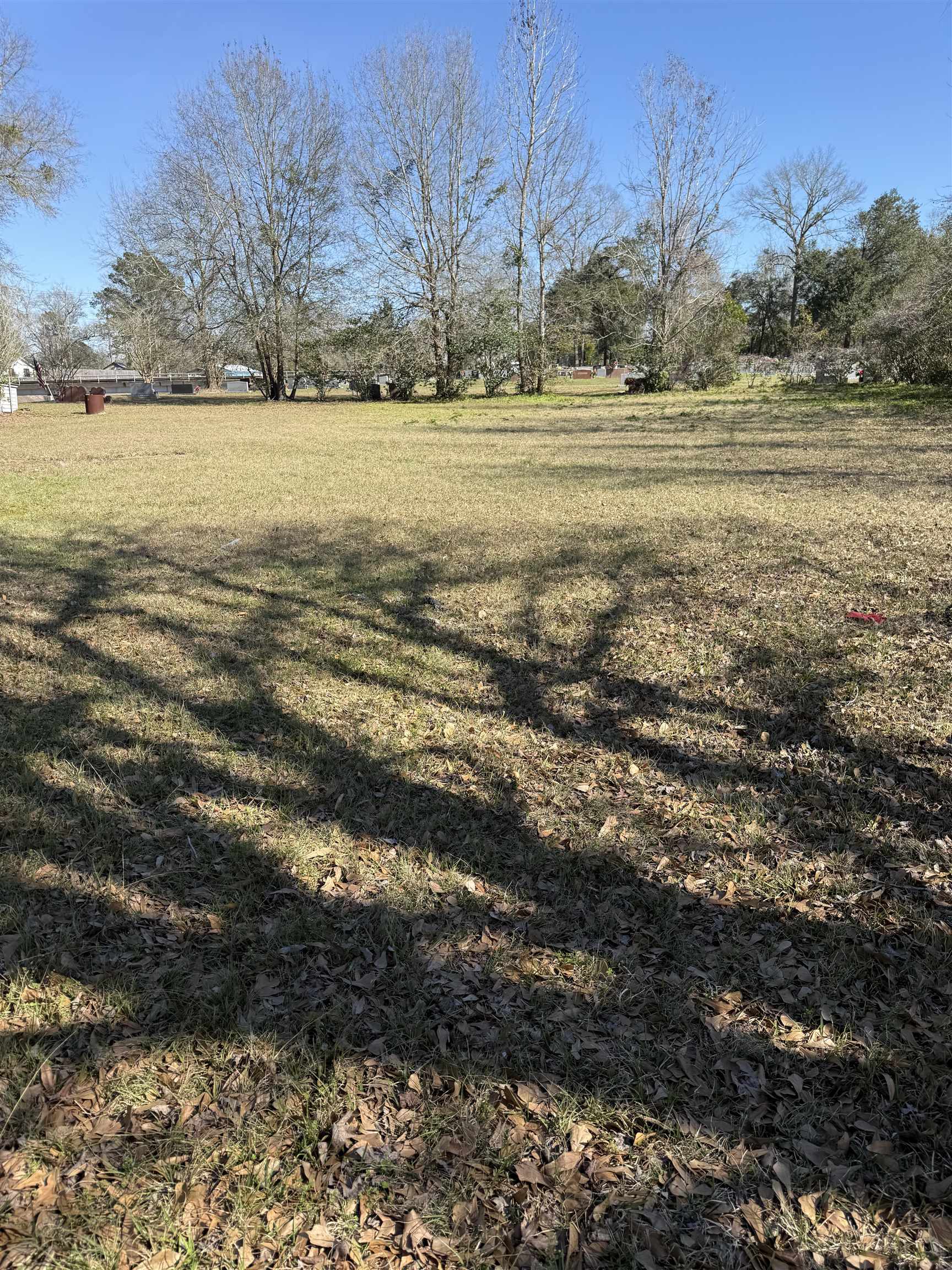625 South 3rd Street Silsbee, TX 77656 - Photo 3 of 16
