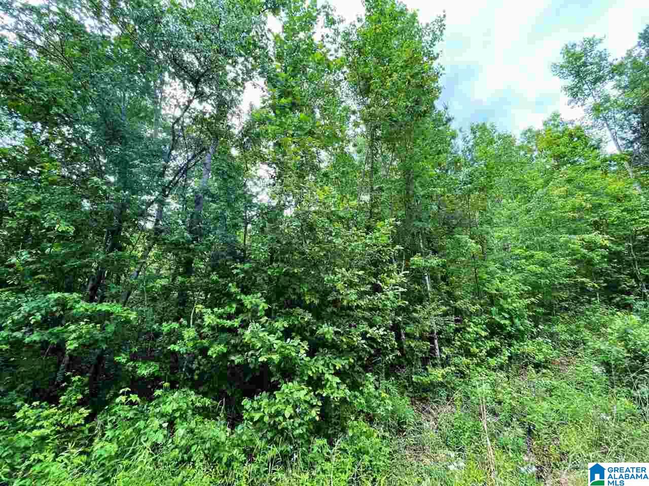 261 County Road, Unit 32 Lineville, AL 36266 - Photo 7 of 8