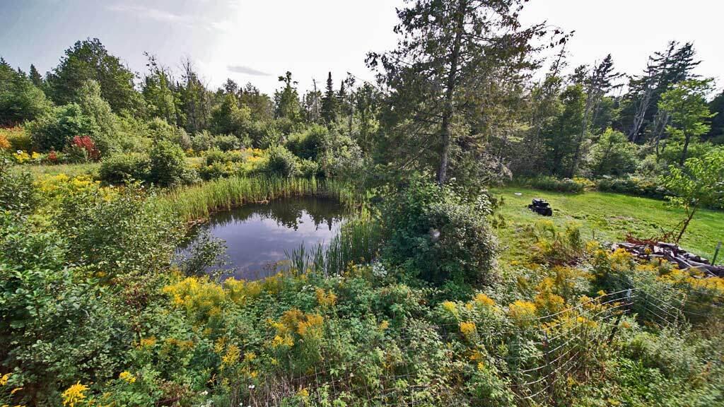 122 Wilcox Road Orient, ME 04471 - Photo 6 of 90 122-wilcox-rd-cary-me-4