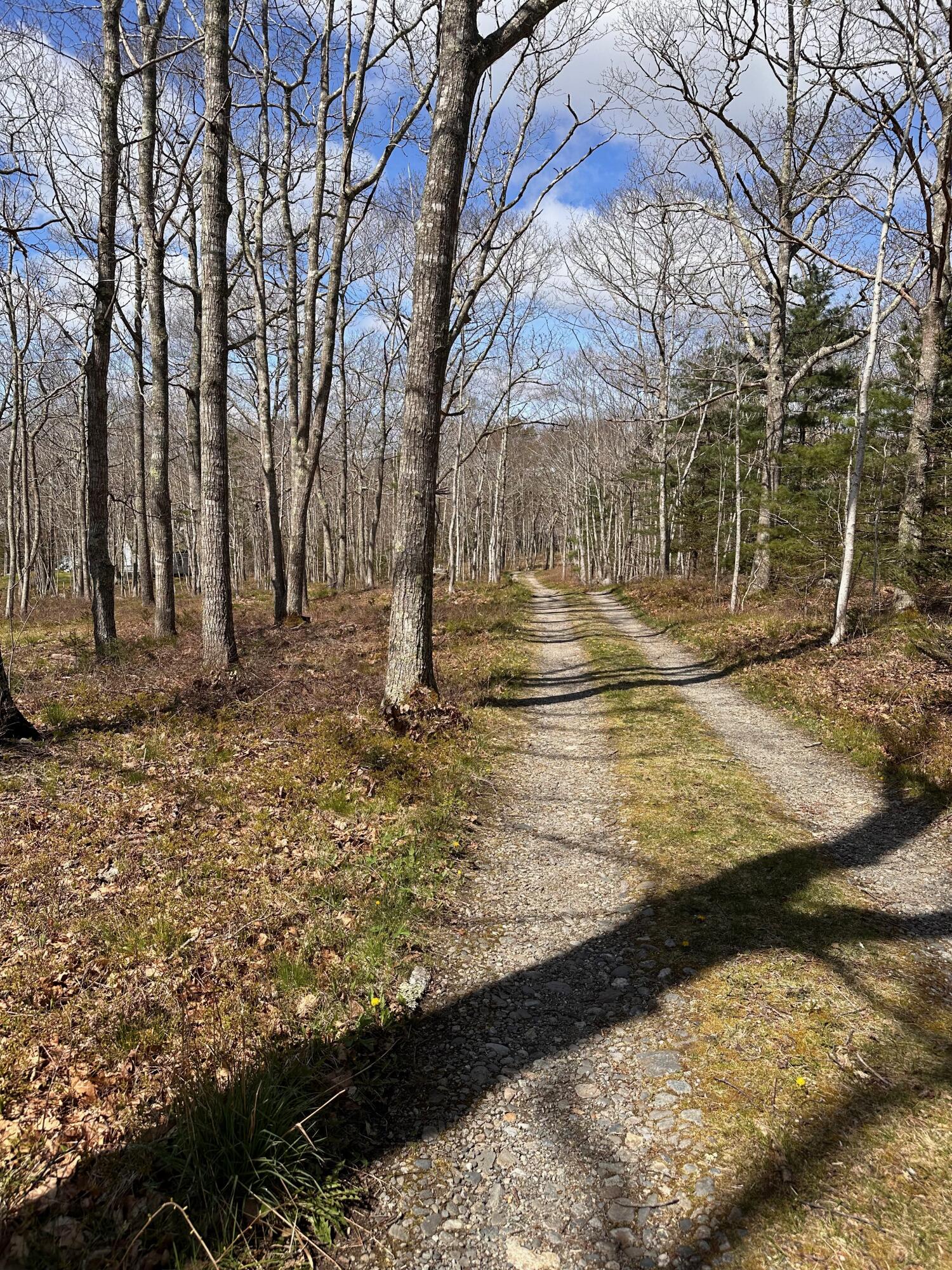 30 Gaffney Hill Road New Harbor, ME 04554 - Photo 3 of 10 IMG_6455