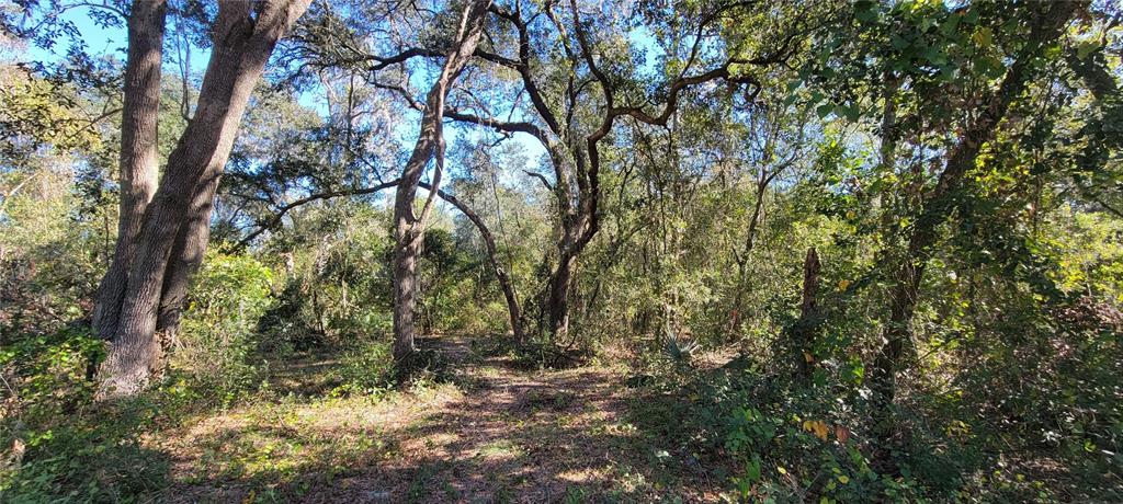 Sydney Washer Road Dover, FL 33527 - Photo 1 of 1