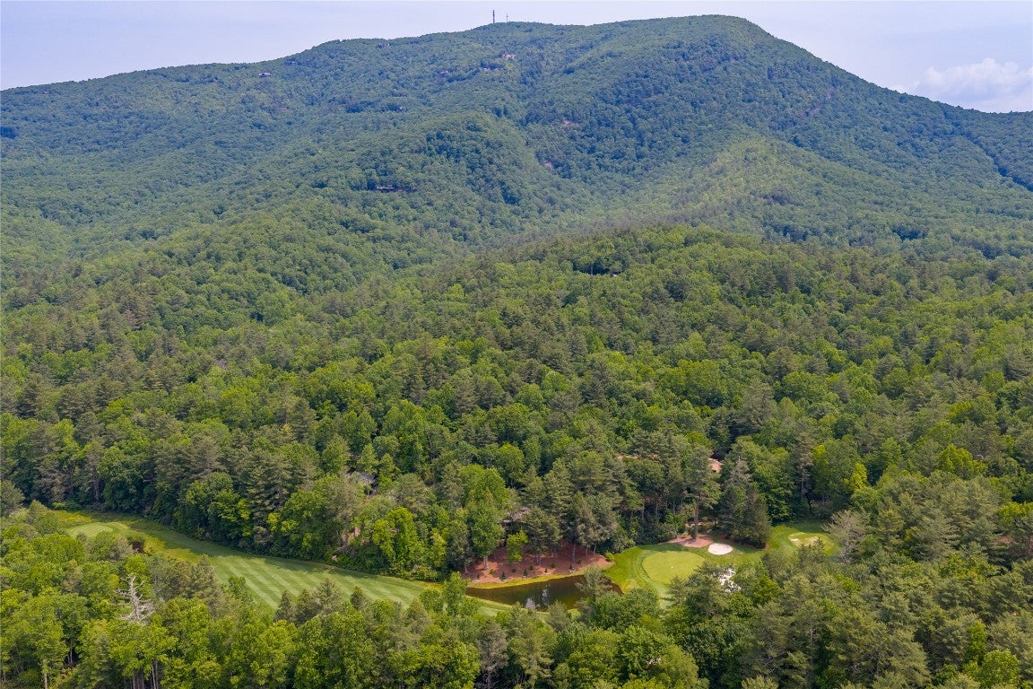 123 Staircase Falls Road Sapphire, NC 28774 - Photo 86 of 87 Gallery Image 86