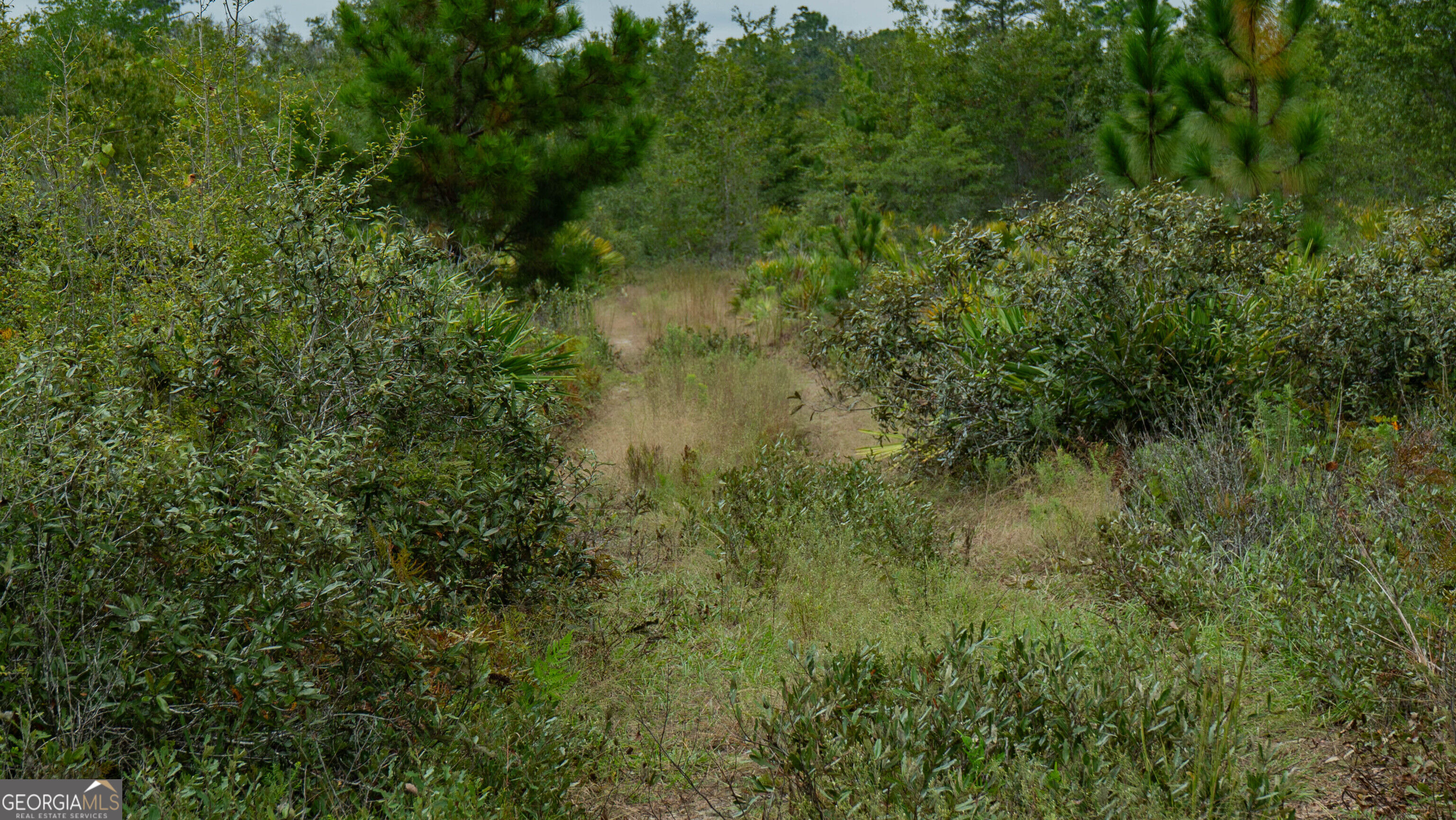 0 Bennett Road Screven, GA 31560 - Photo 21 of 52 Gallery Image 21