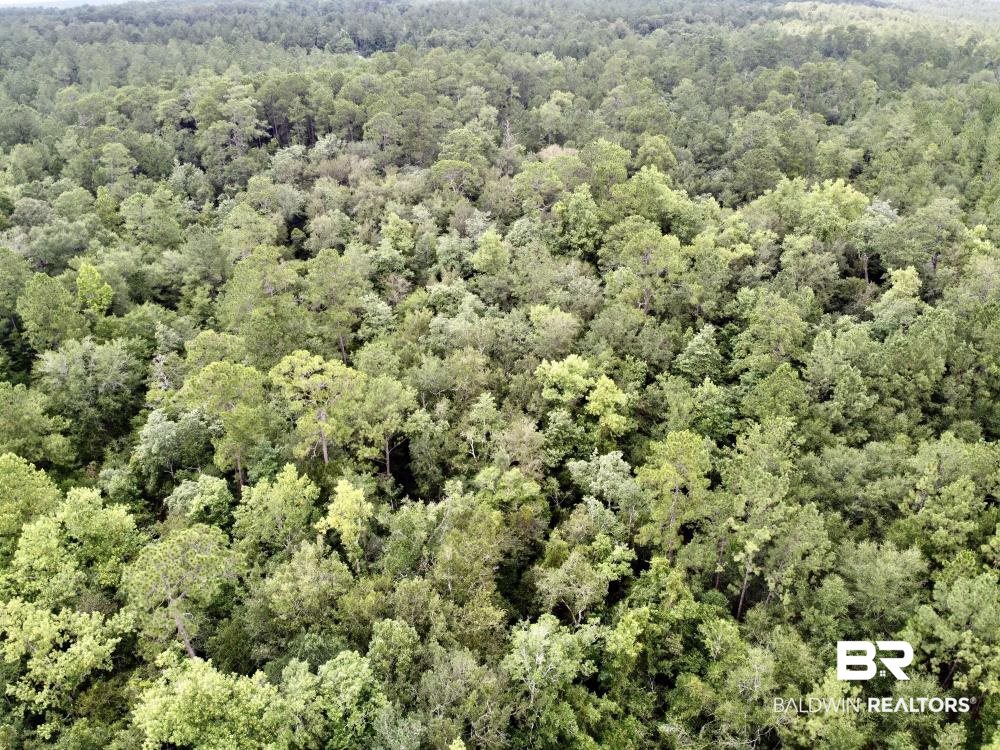 0 Old Ganey Road Stockton, AL 36579 - Photo 32 of 45