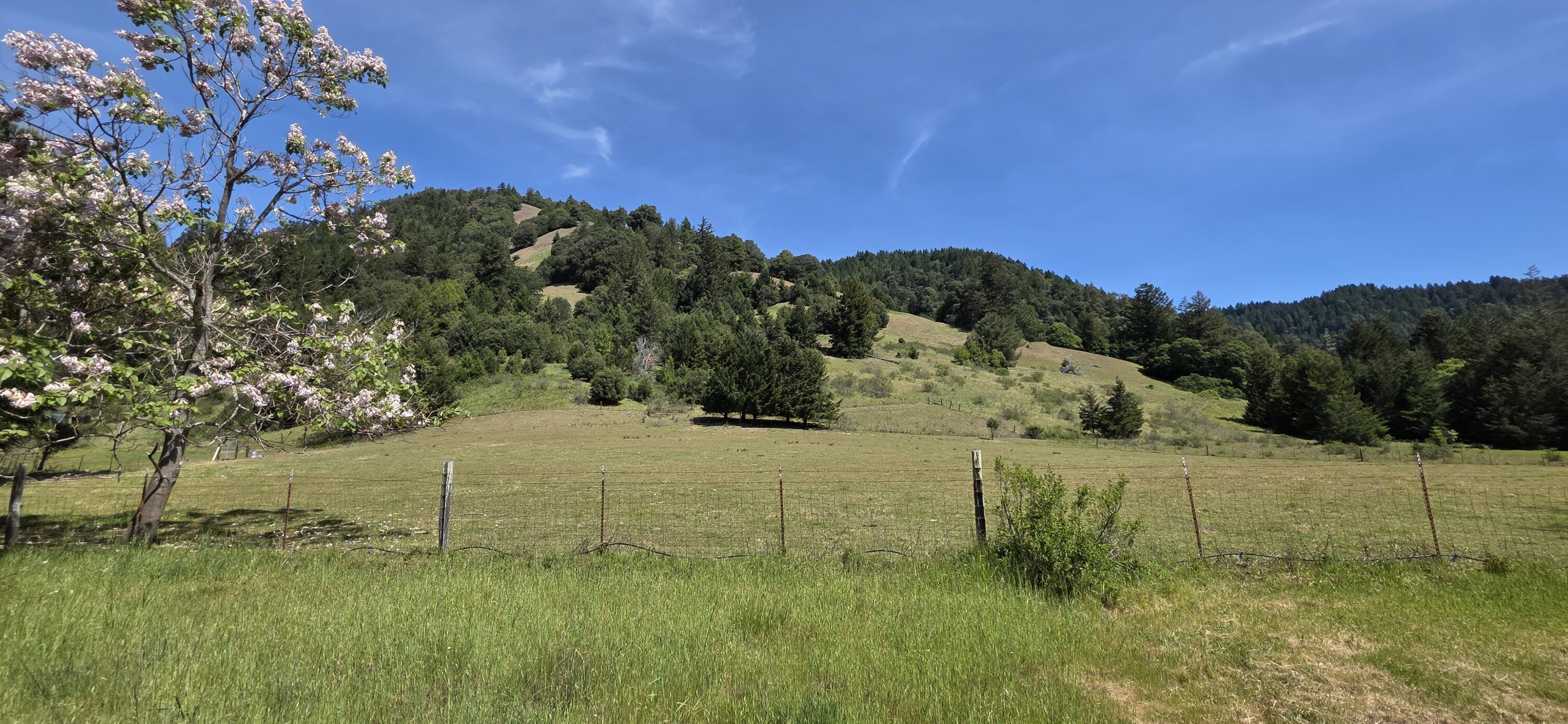 725 Old Hindley Ranch Road Petrolia, CA 95558 - Photo 10 of 33