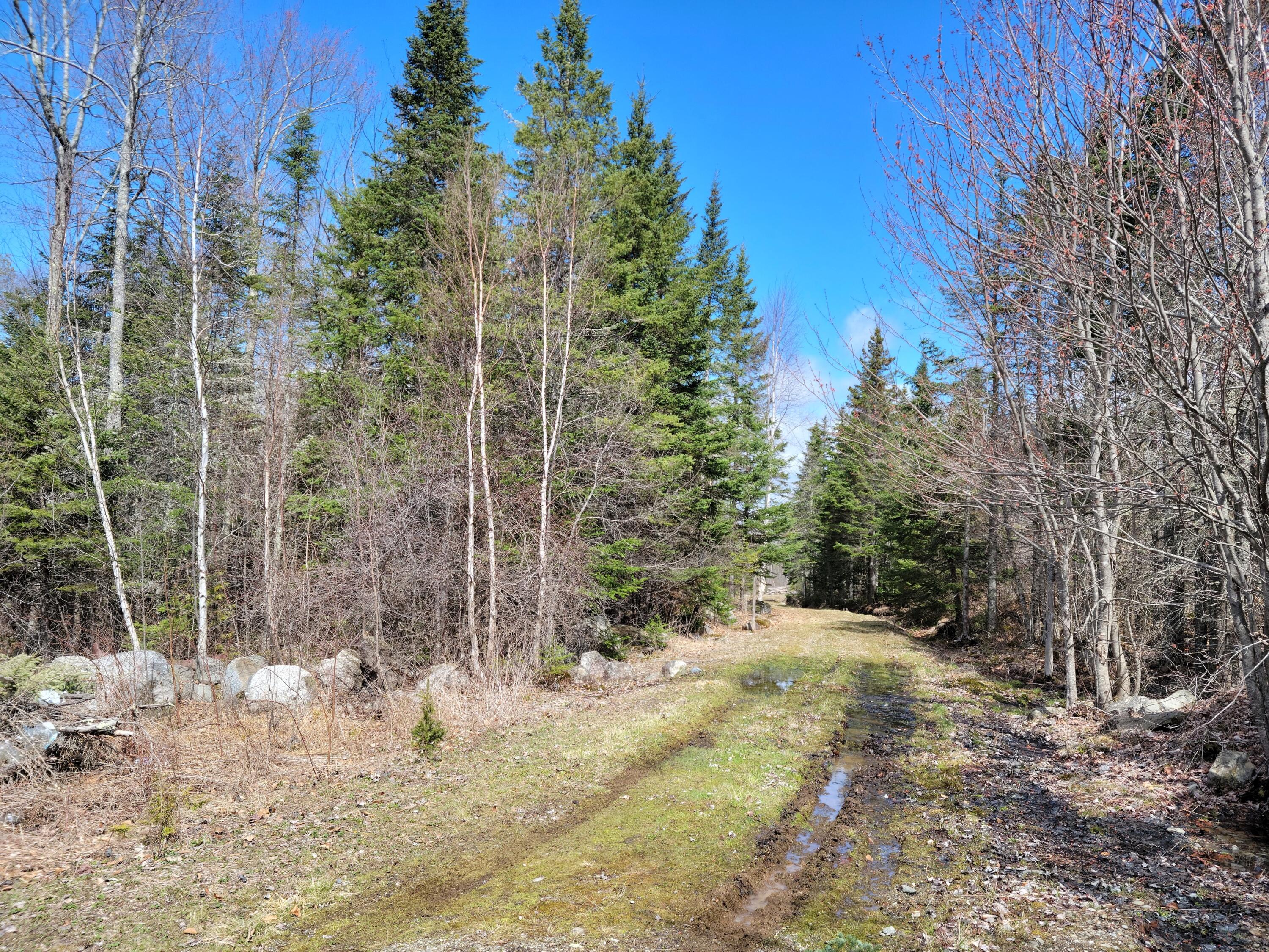 140 Back Searsport Road Belfast, ME 04915 - Photo 3 of 15 140 back Searsport2