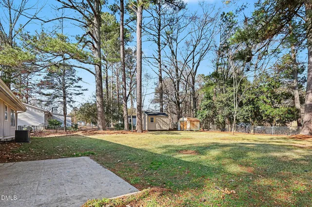 a view of a park with large trees