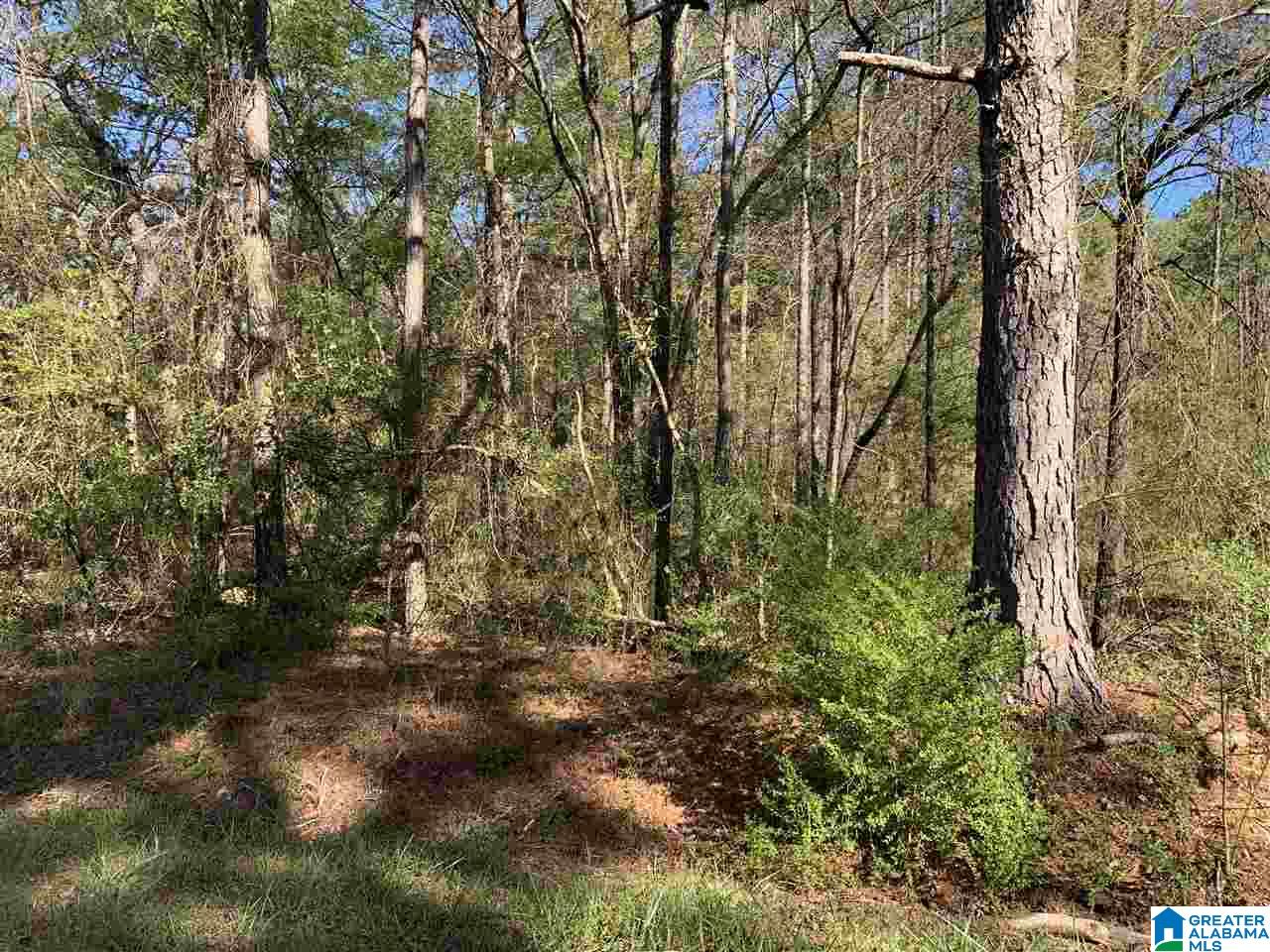 400 Valley Road, Unit 10 Talladega, AL 35160 - Photo 5 of 5