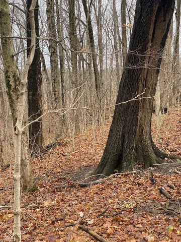 $851,416 | Tbd East Us Highway 136 Road East, Crawfordsville, IN 47933