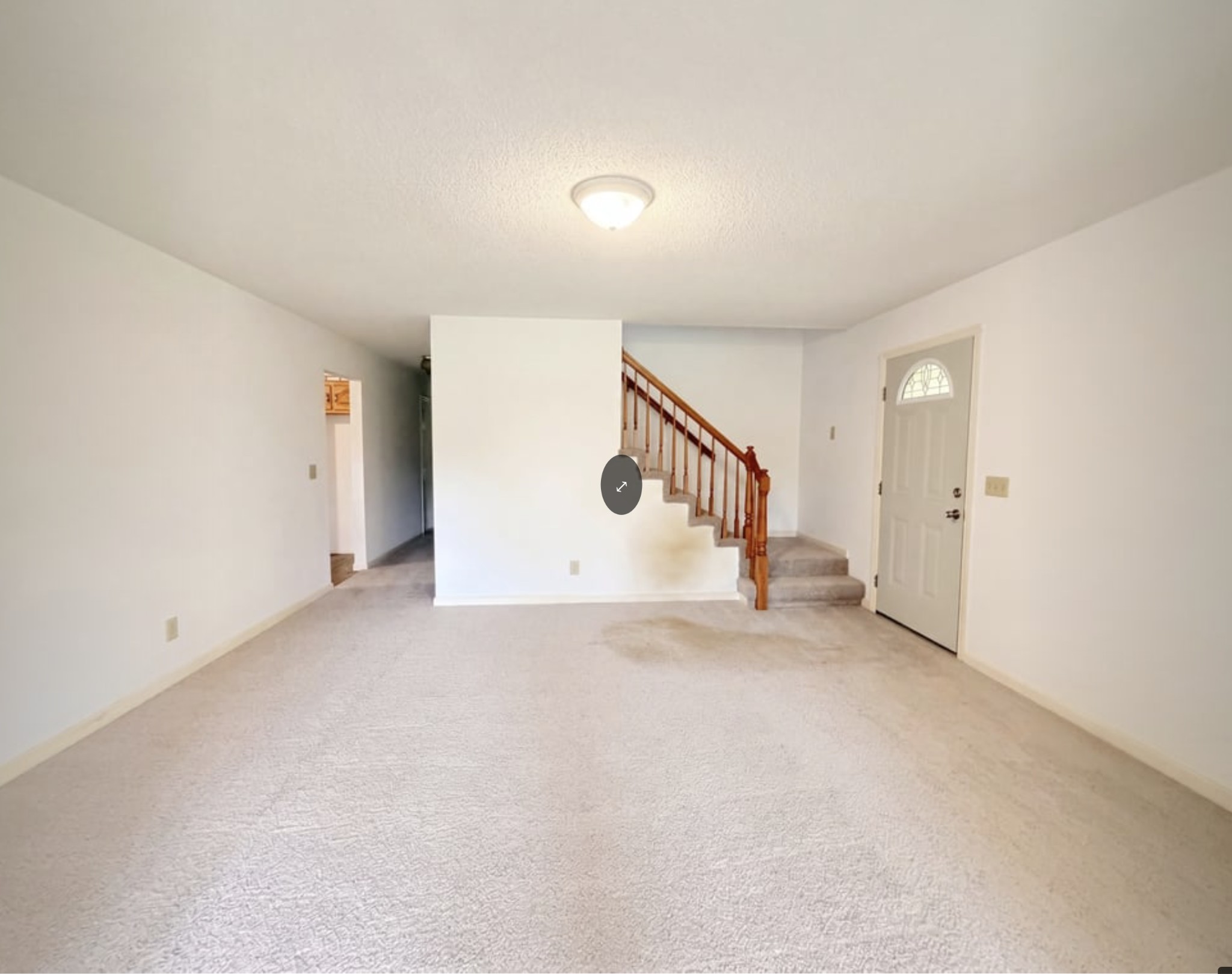 8663 Dog Branch Road Mount Pleasant, TN 38474 - Photo 6 of 19