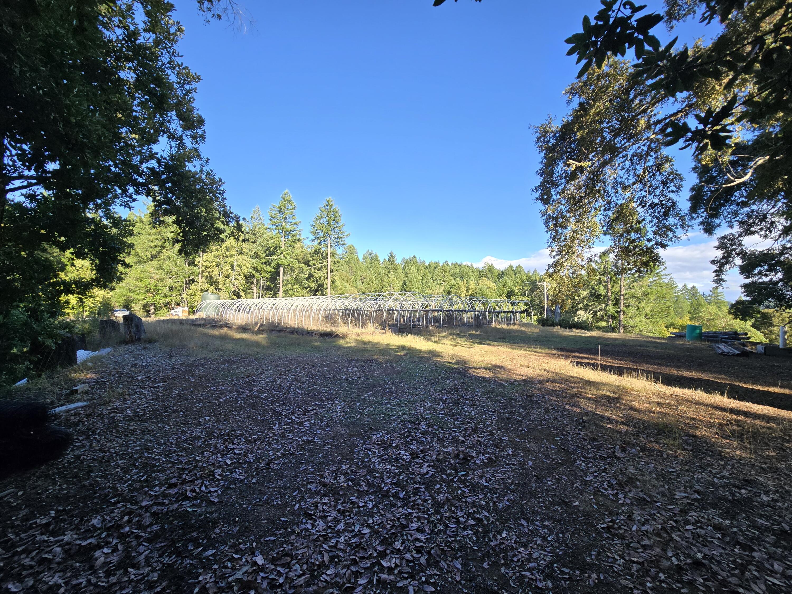 0 Bellus Road Garberville, CA 95542 - Photo 9 of 28