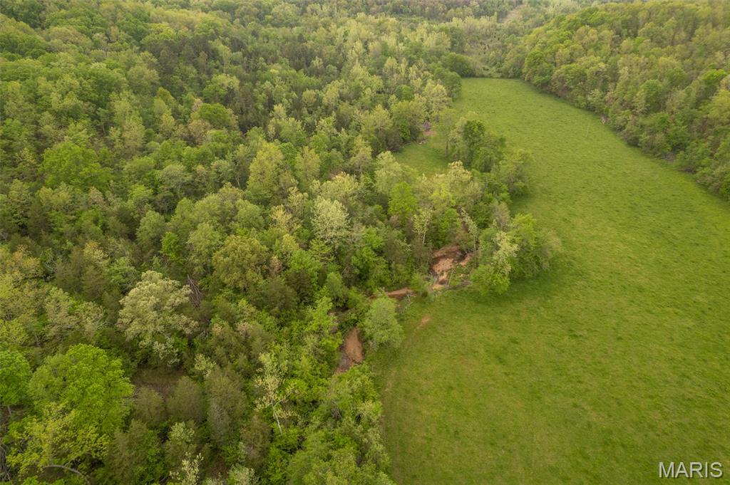 5754 Wayne 421 Mill Spring Mill Spring, MO 63952 - Photo 13 of 56