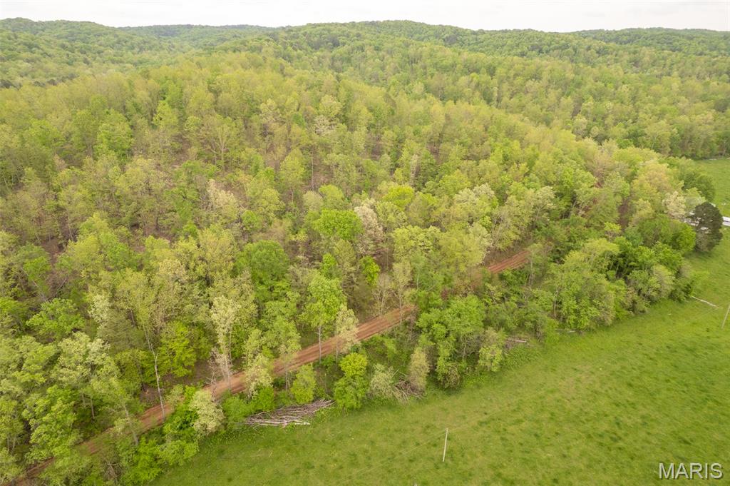 5754 Wayne 421 Mill Spring Mill Spring, MO 63952 - Photo 17 of 56