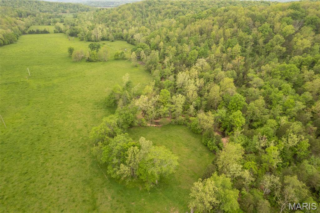 5754 Wayne 421 Mill Spring Mill Spring, MO 63952 - Photo 19 of 56