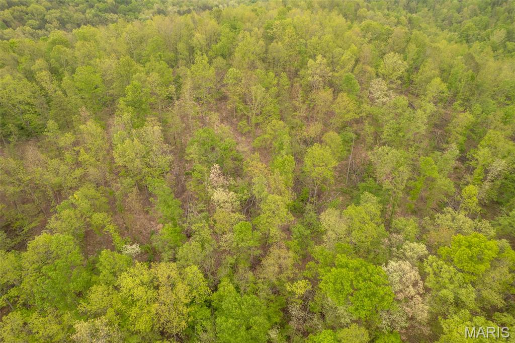 5754 Wayne 421 Mill Spring Mill Spring, MO 63952 - Photo 20 of 56