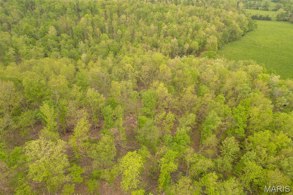 5754 Wayne 421 Mill Spring Mill Spring, MO 63952 - Photo 21 of 56