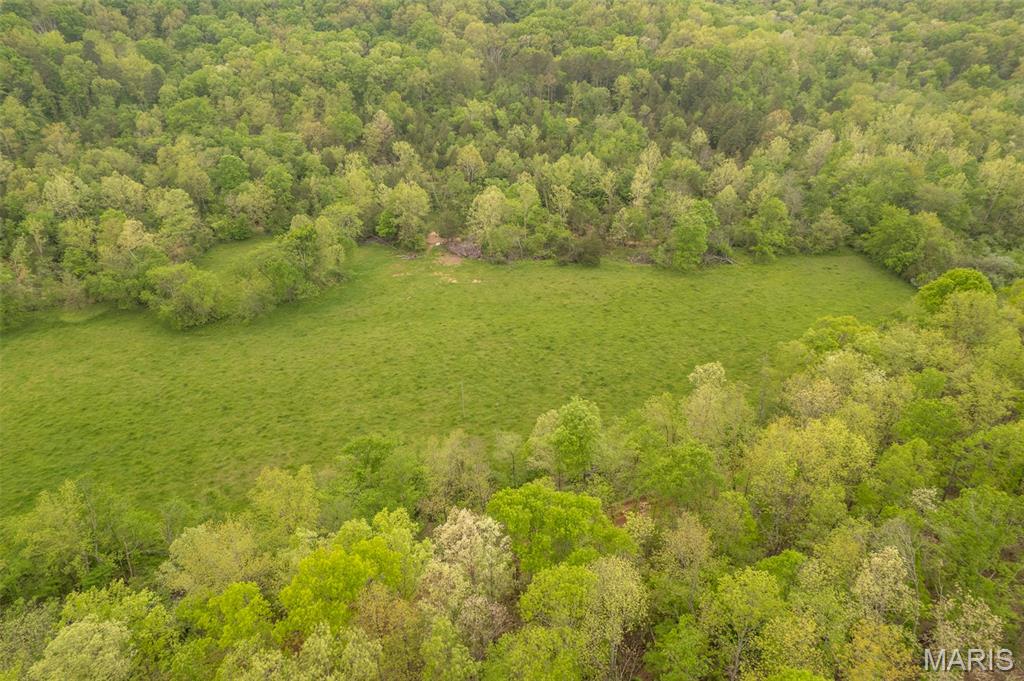 5754 Wayne 421 Mill Spring Mill Spring, MO 63952 - Photo 23 of 56