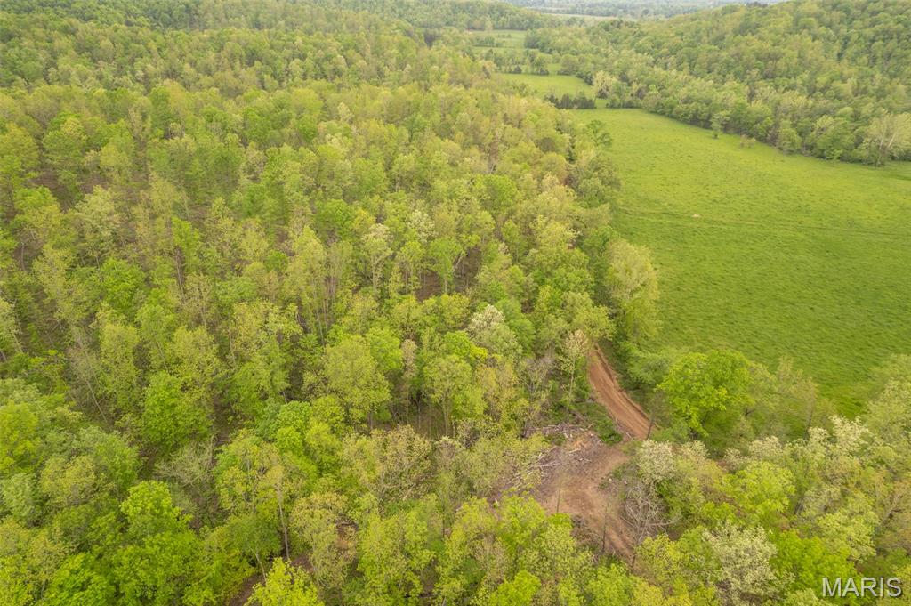 5754 Wayne 421 Mill Spring Mill Spring, MO 63952 - Photo 24 of 56