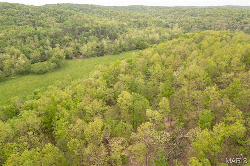 5754 Wayne 421 Mill Spring Mill Spring, MO 63952 - Photo 26 of 56