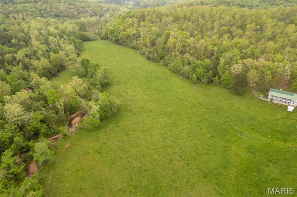 5754 Wayne 421 Mill Spring Mill Spring, MO 63952 - Photo 3 of 56