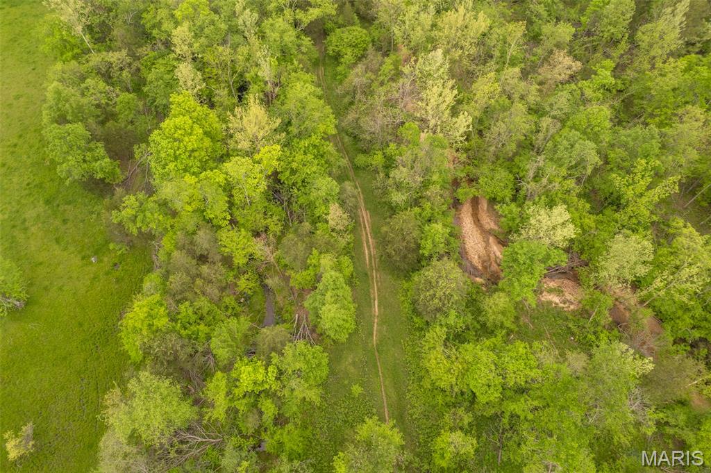 5754 Wayne 421 Mill Spring Mill Spring, MO 63952 - Photo 39 of 56