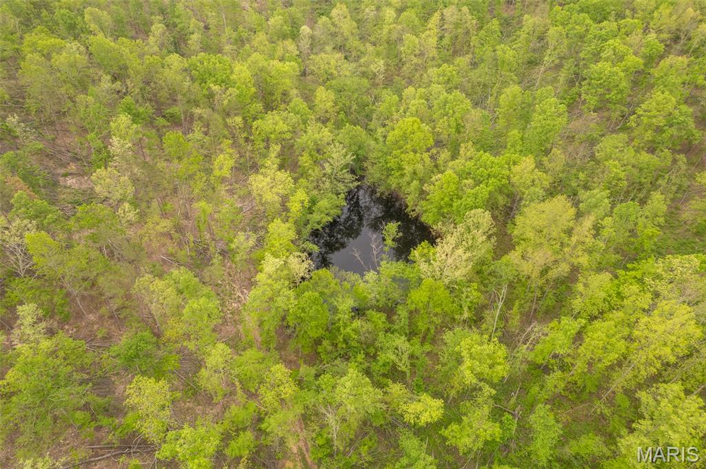 5754 Wayne 421 Mill Spring Mill Spring, MO 63952 - Photo 41 of 56