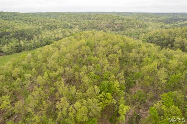 $674,900 | 5754 Wayne 421 Mill Spring, Mill Spring, MO 63952