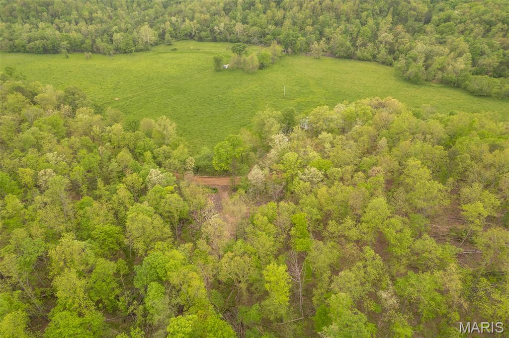 5754 Wayne 421 Mill Spring Mill Spring, MO 63952 - Photo 43 of 56