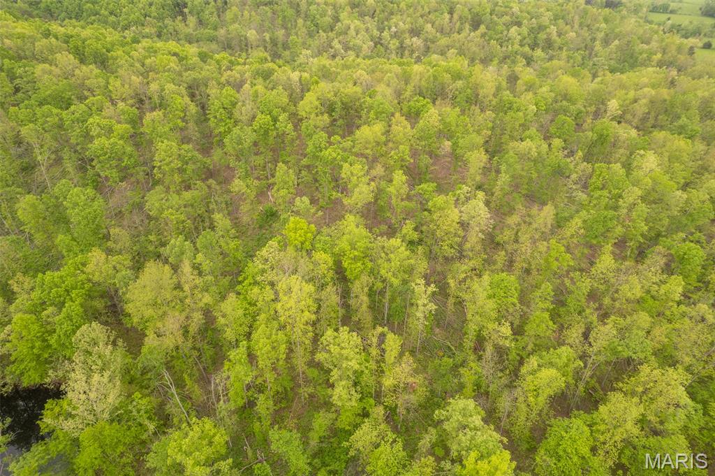 5754 Wayne 421 Mill Spring Mill Spring, MO 63952 - Photo 45 of 56