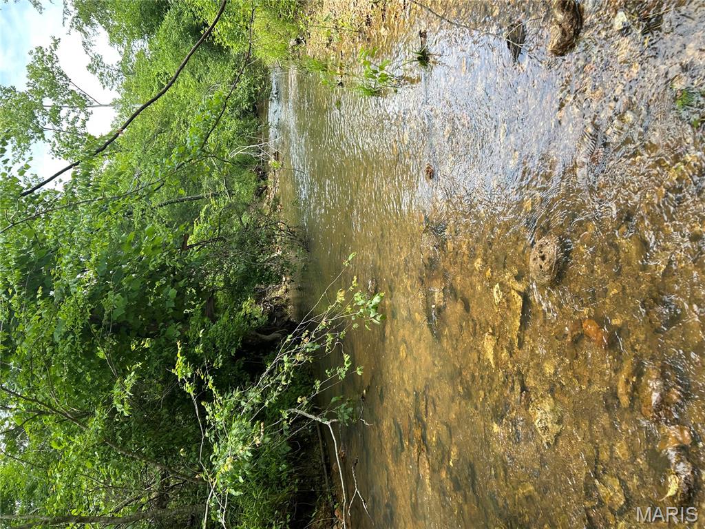 5754 Wayne 421 Mill Spring Mill Spring, MO 63952 - Photo 46 of 56