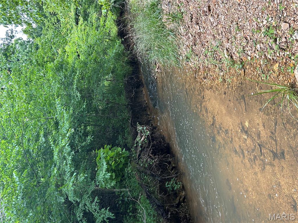 5754 Wayne 421 Mill Spring Mill Spring, MO 63952 - Photo 47 of 56