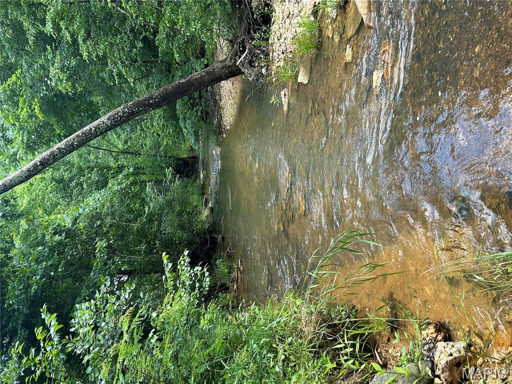 5754 Wayne 421 Mill Spring Mill Spring, MO 63952 - Photo 48 of 56