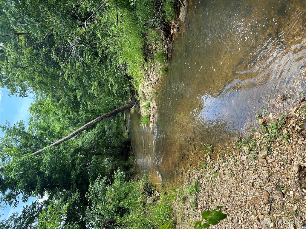 5754 Wayne 421 Mill Spring Mill Spring, MO 63952 - Photo 49 of 56