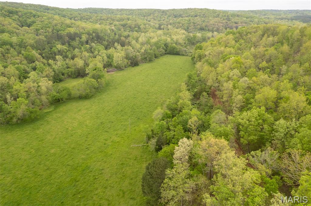 5754 Wayne 421 Mill Spring Mill Spring, MO 63952 - Photo 8 of 56