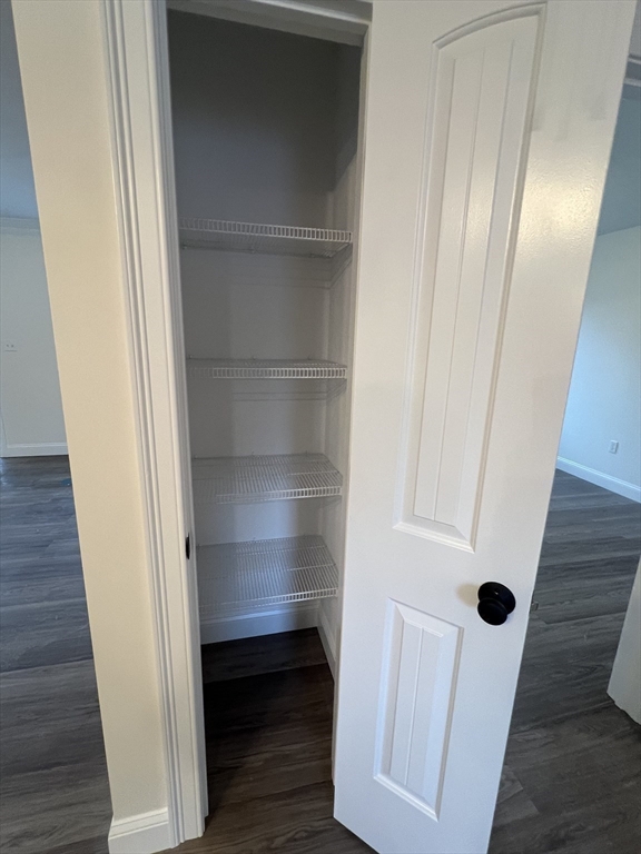 3 Lanigan Path Middleboro, MA 02346 - Photo 19 of 20 a view of walk in closet