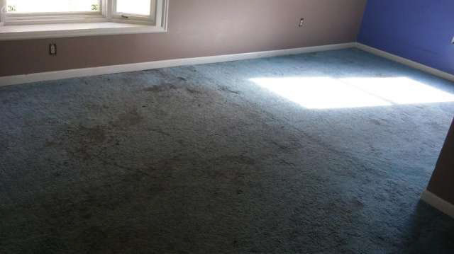 2354 Utley Road Flint, MI 48532 - Photo 12 of 21 20453495-11.JPG