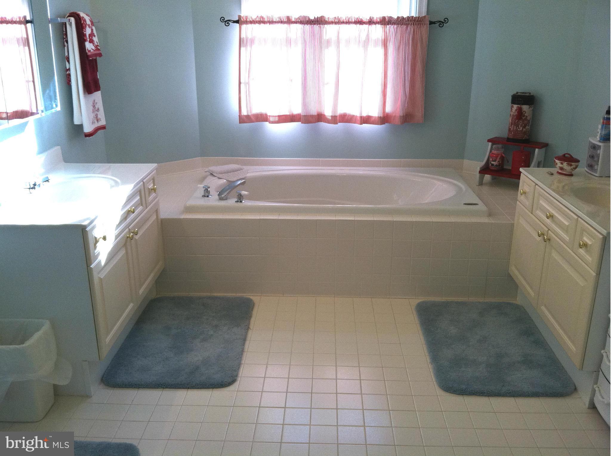 2559 Bear Den Road Frederick, MD 21701 - Photo 19 of 30 Bath (Master)